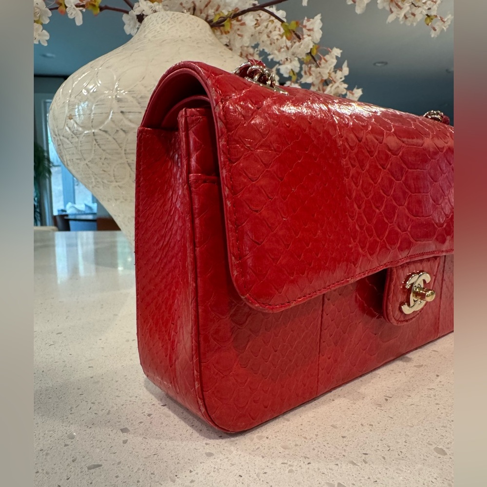Chanel Medium classic Double Flap Python - Picture 10 of 11